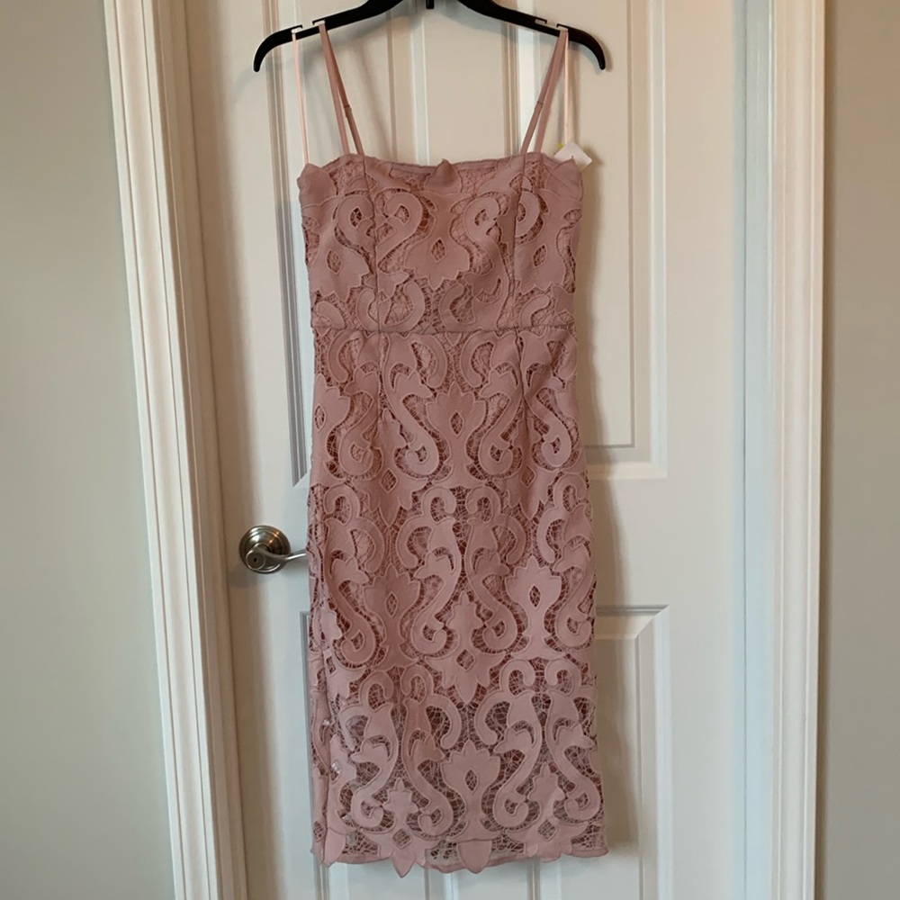 Bardot Lina lace sheath dress. Dusty pink.
US 4/XS